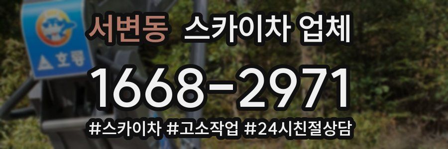 서변동 스카이차 업체
