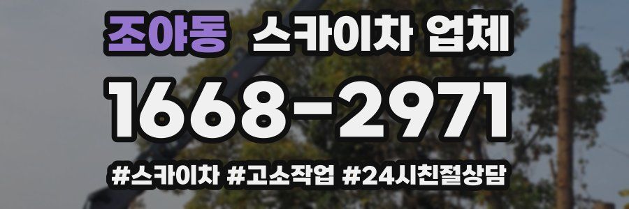 조야동 스카이차 업체