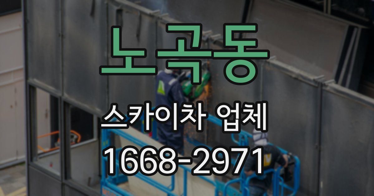 노곡동 스카이차 업체