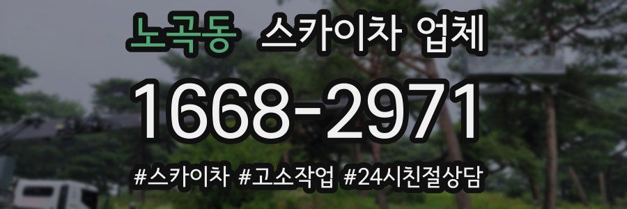 노곡동 스카이차 업체
