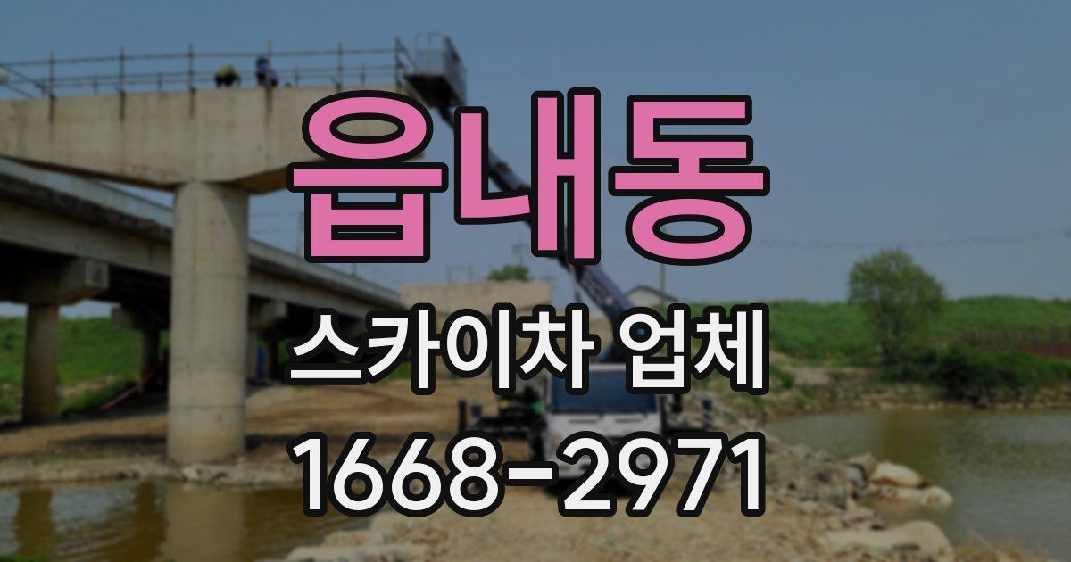 읍내동 스카이차 업체