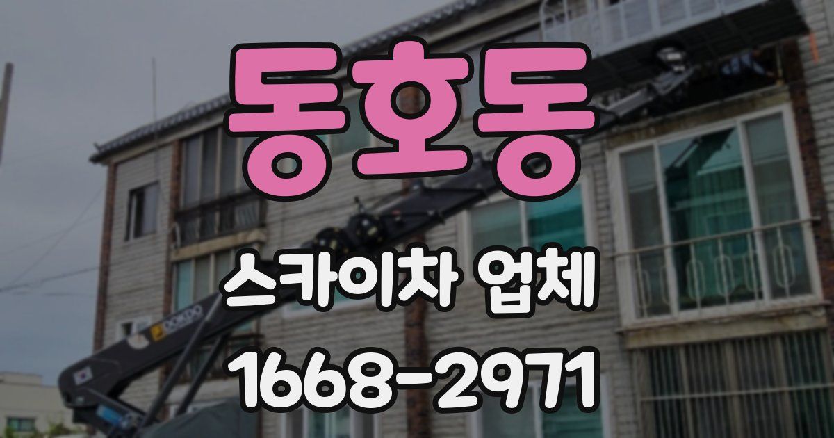 동호동 스카이차 업체