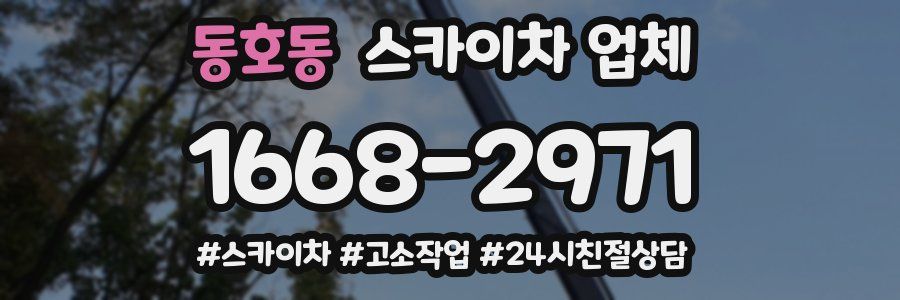 동호동 스카이차 업체