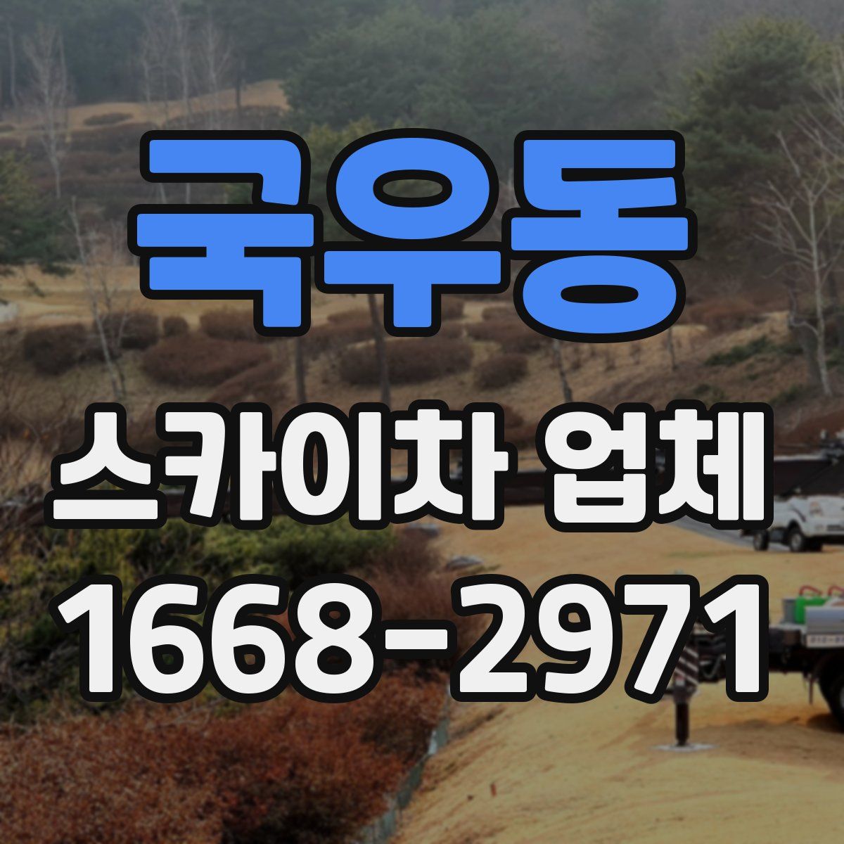 국우동 스카이차 업체