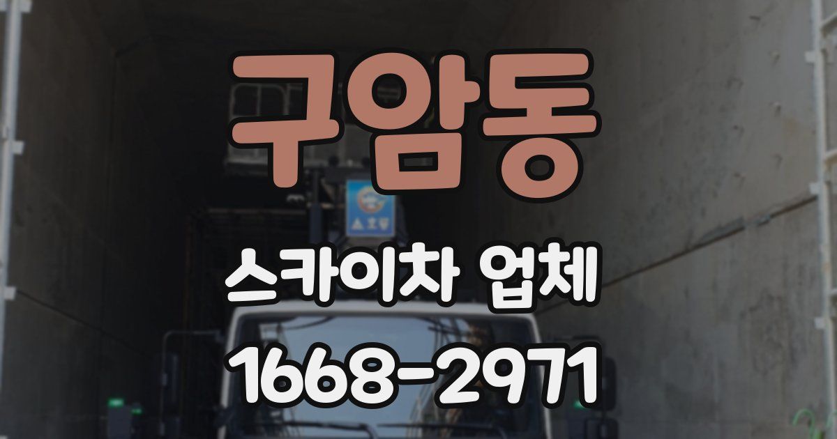 구암동 스카이차 업체