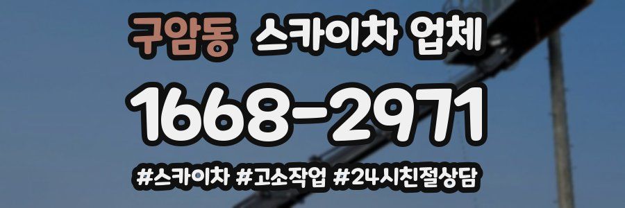 구암동 스카이차 업체