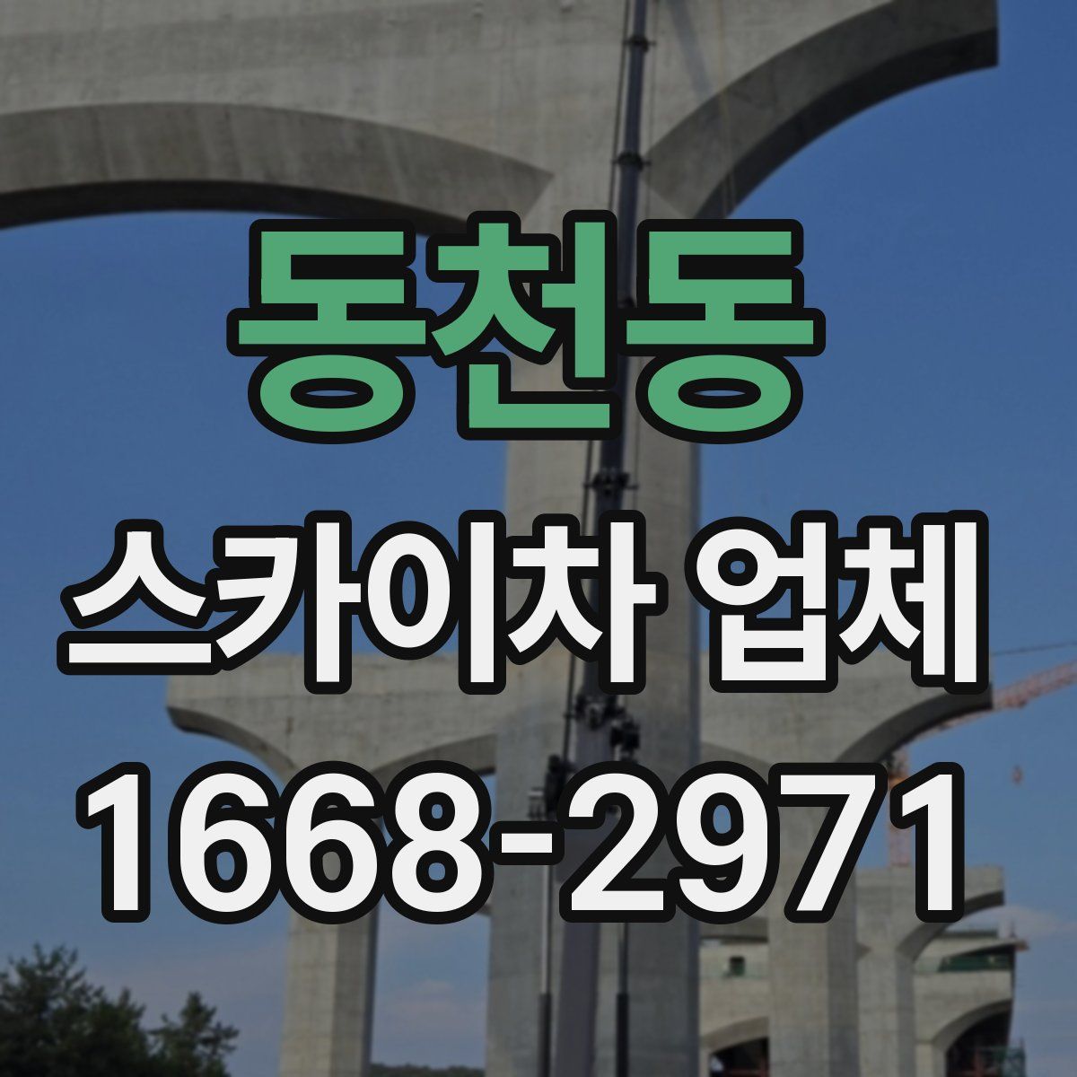 동천동 스카이차 업체