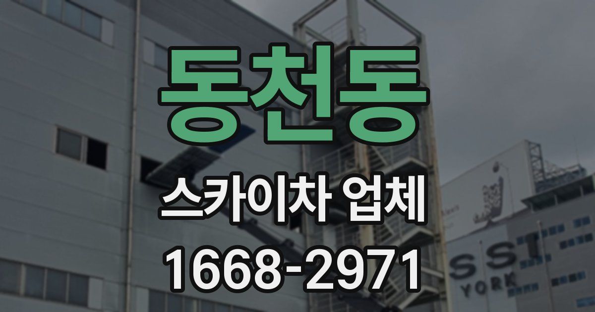 동천동 스카이차 업체