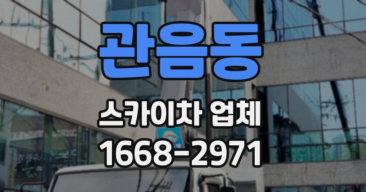 관음동 스카이차 업체