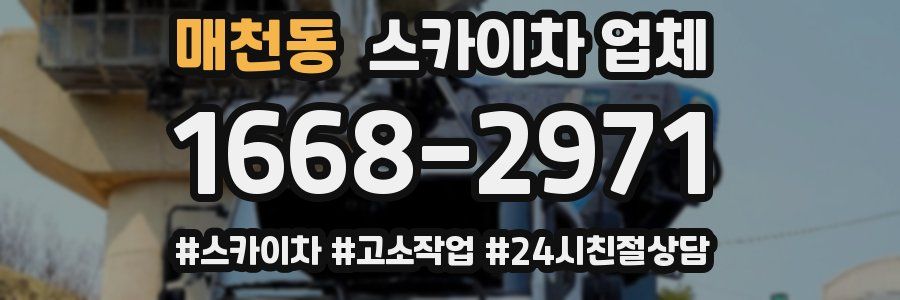매천동 스카이차 업체