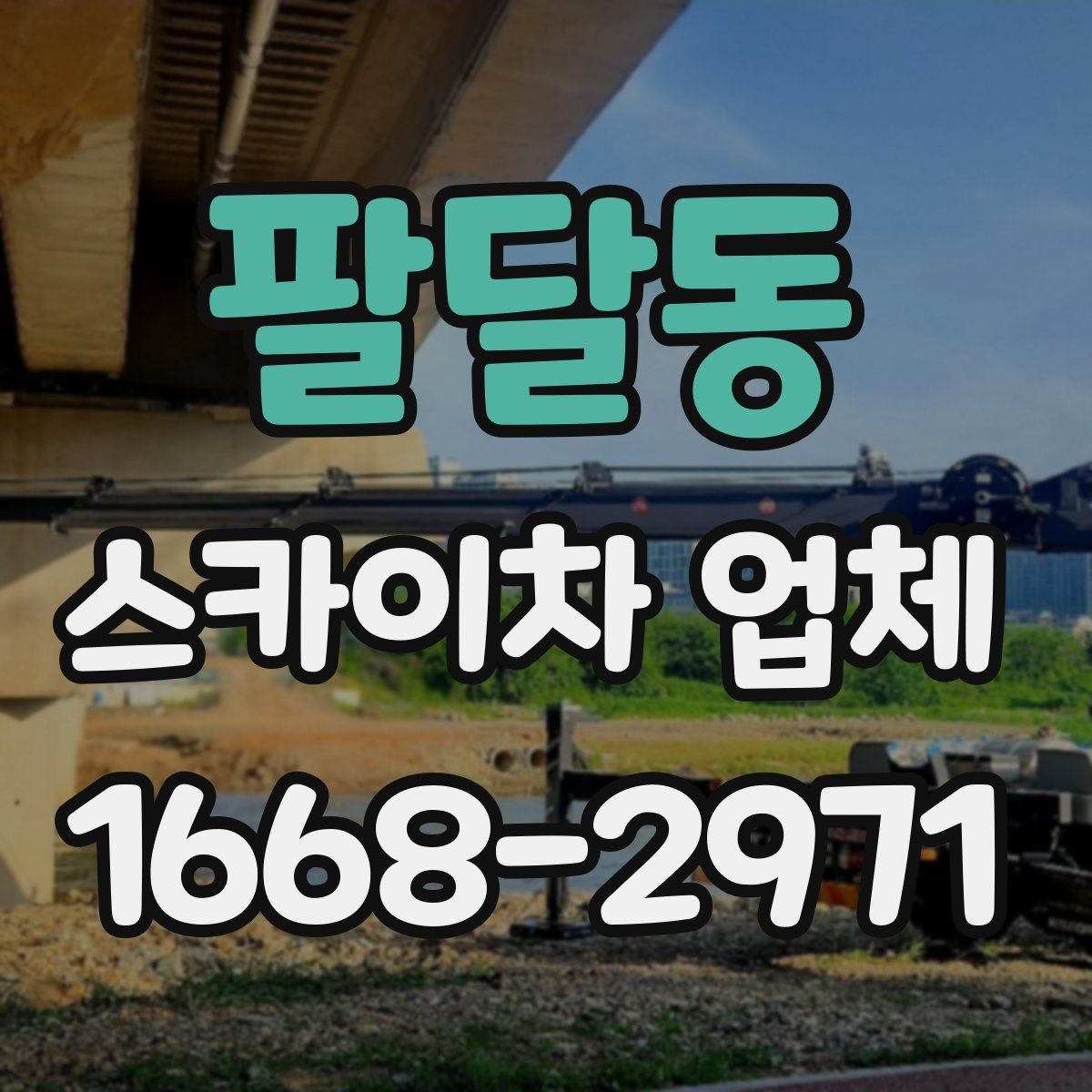팔달동 스카이차 업체