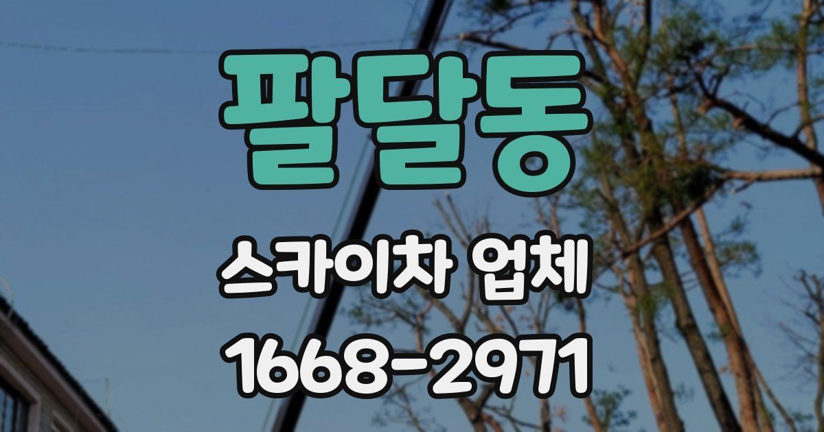 팔달동 스카이차 업체