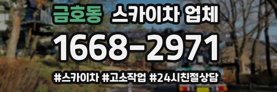 금호동 스카이차 업체
