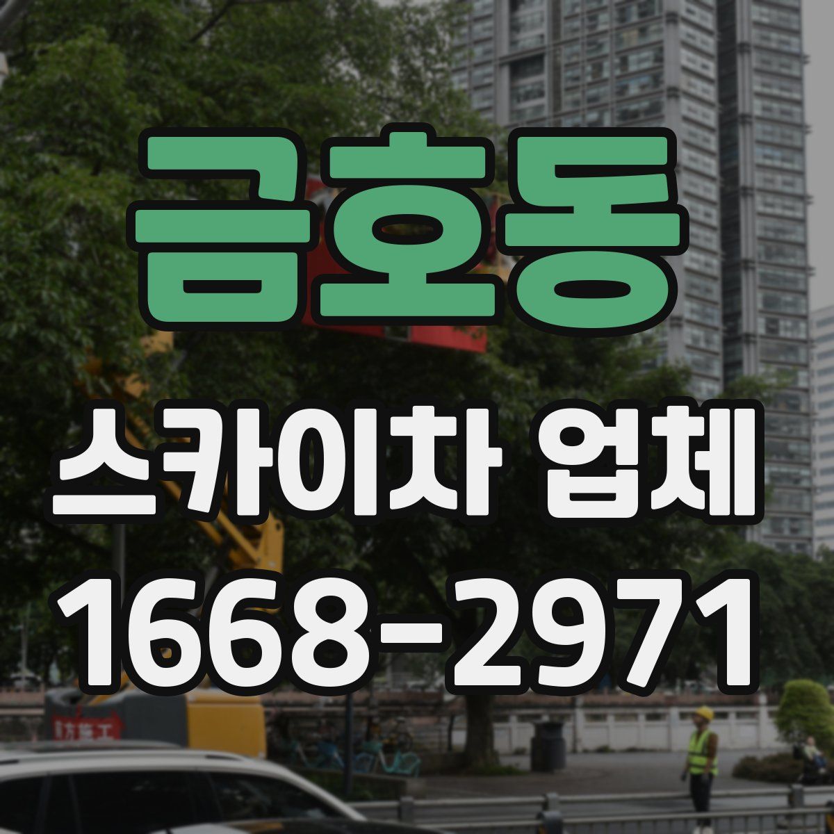 금호동 스카이차 업체
