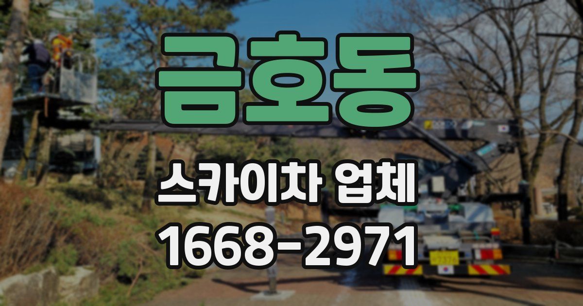 금호동 스카이차 업체