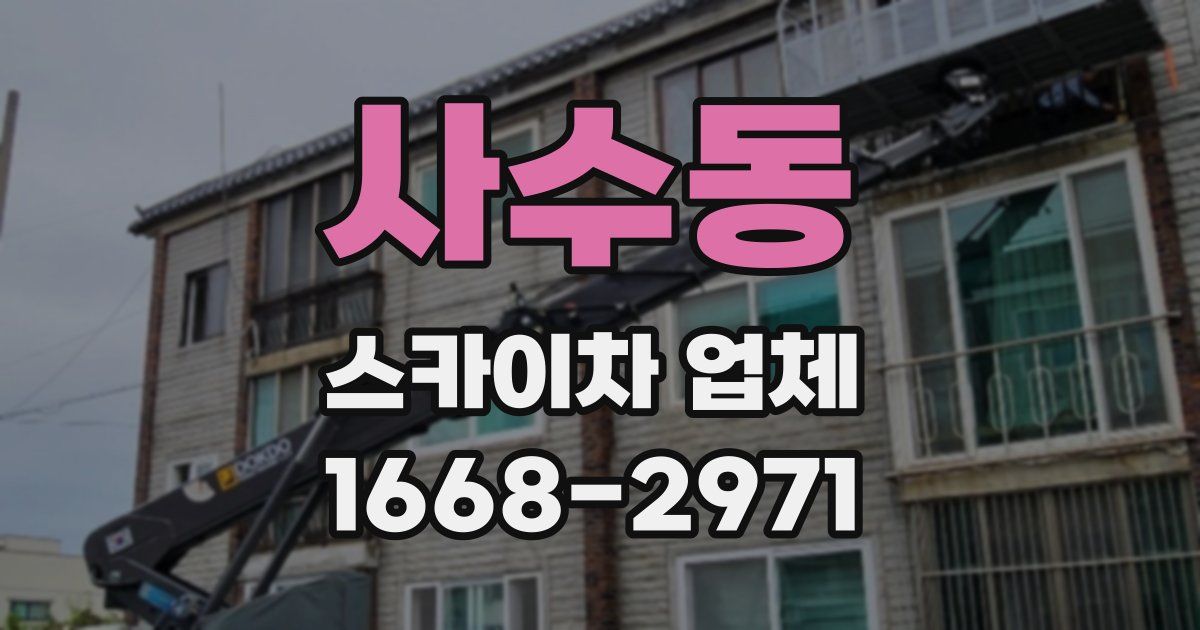 사수동 스카이차 업체
