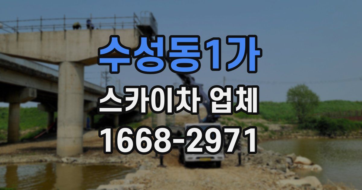 수성동1가 스카이차 업체
