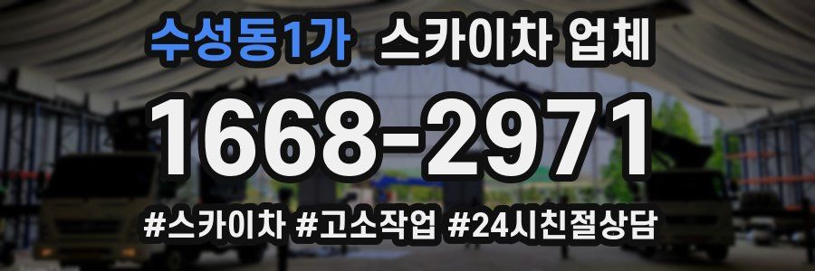 수성동1가 스카이차 업체