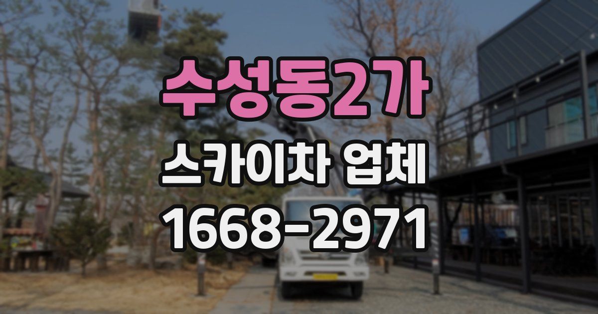 수성동2가 스카이차 업체