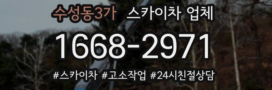 수성동3가 스카이차 업체