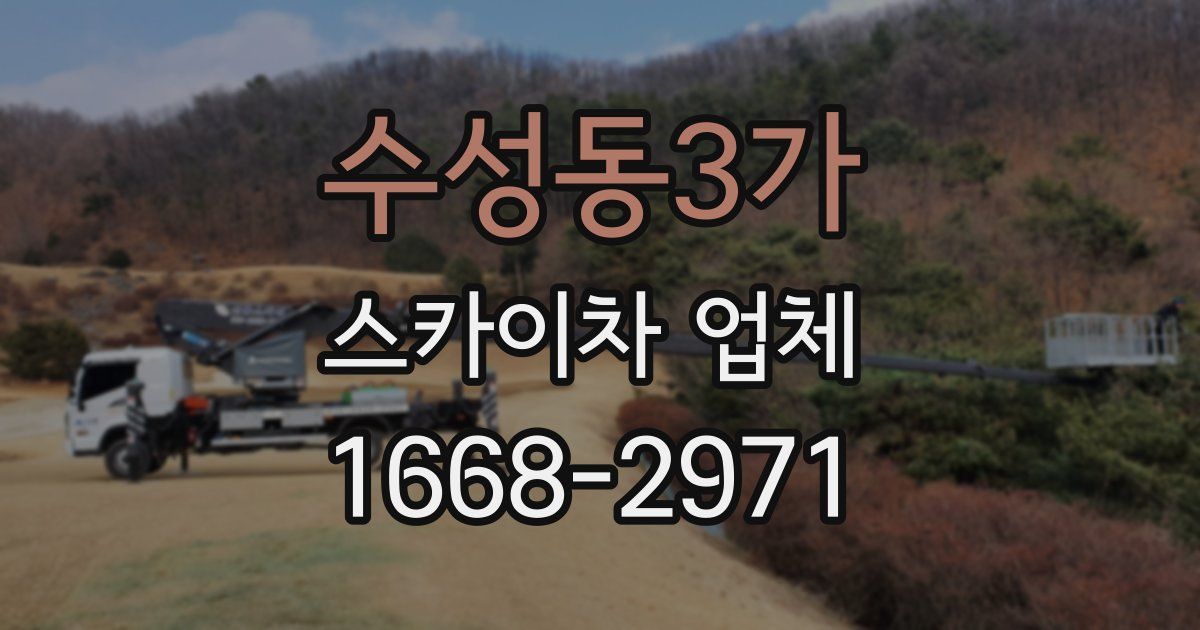 수성동3가 스카이차 업체