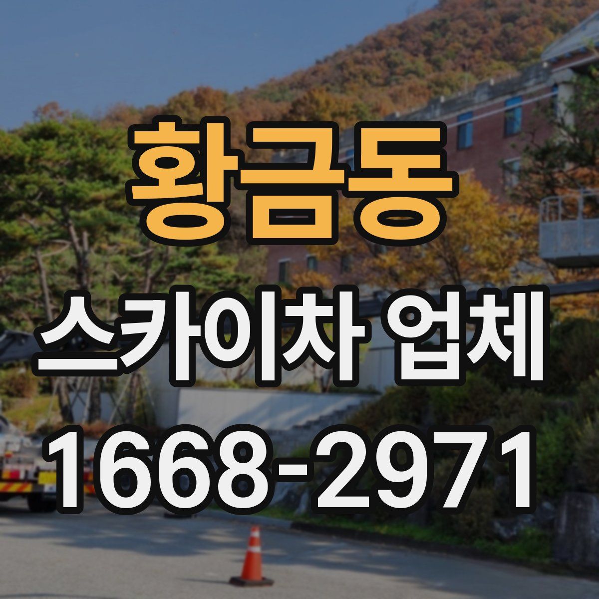 황금동 스카이차 업체