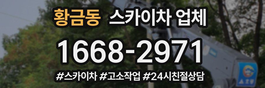 황금동 스카이차 업체