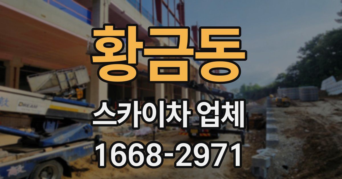 황금동 스카이차 업체