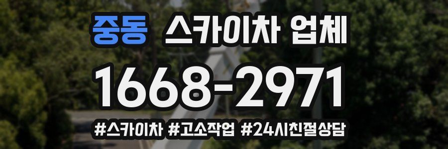 중동 스카이차 업체