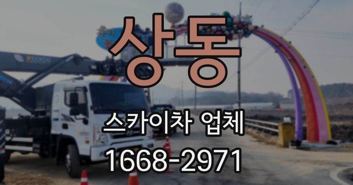 상동 스카이차 업체