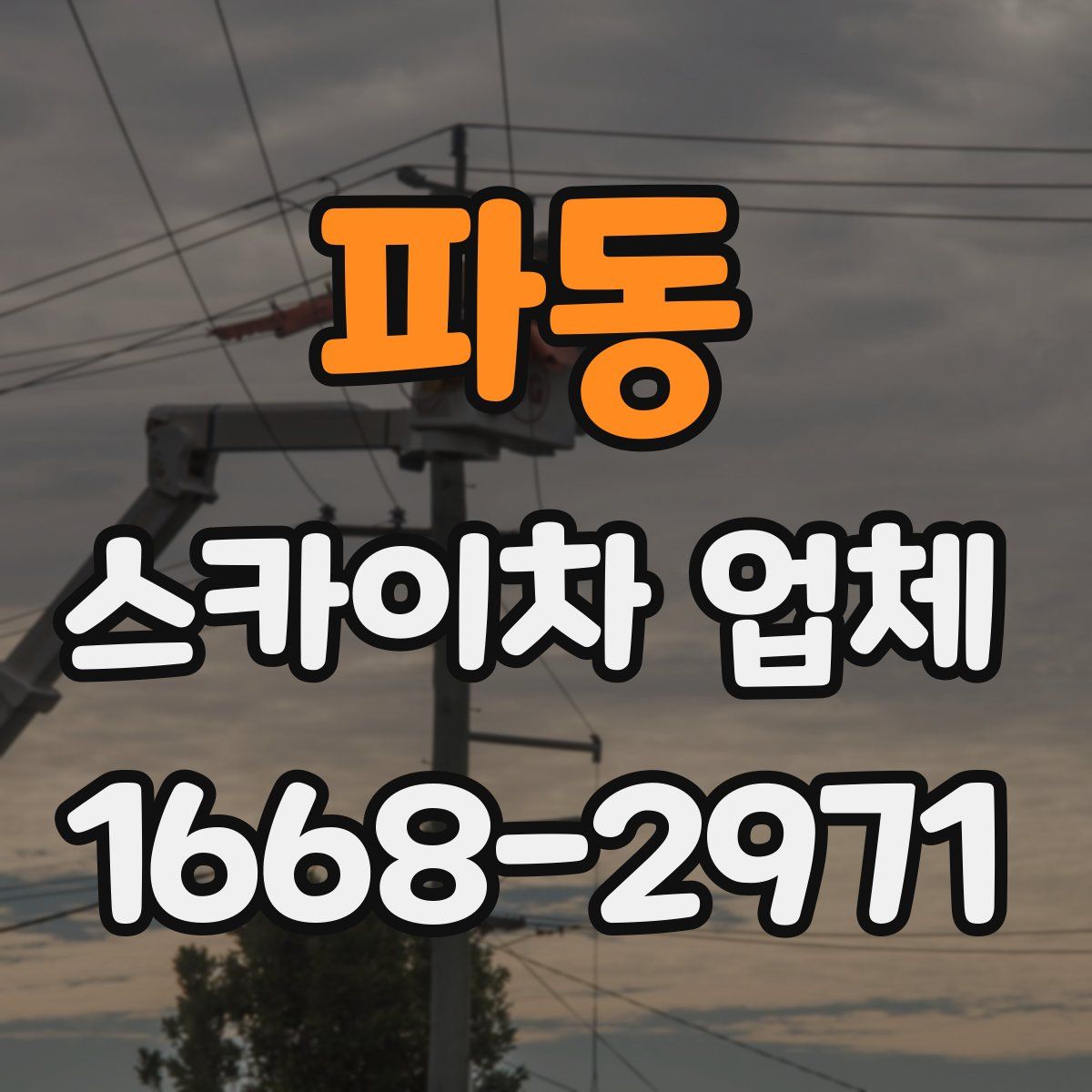 파동 스카이차 업체