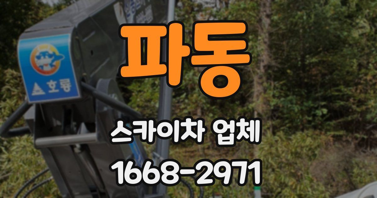 파동 스카이차 업체