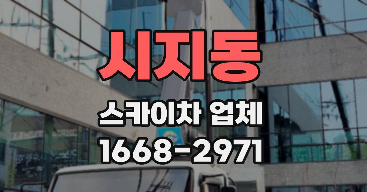 시지동 스카이차 업체