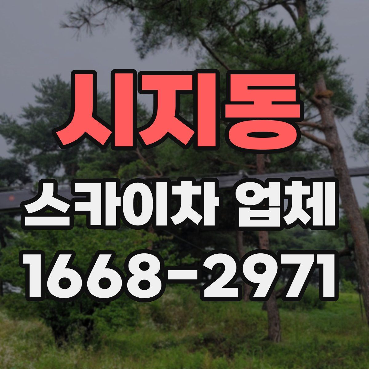 시지동 스카이차 업체