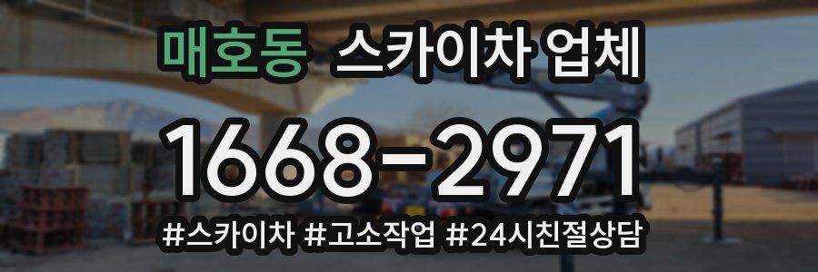 매호동 스카이차 업체