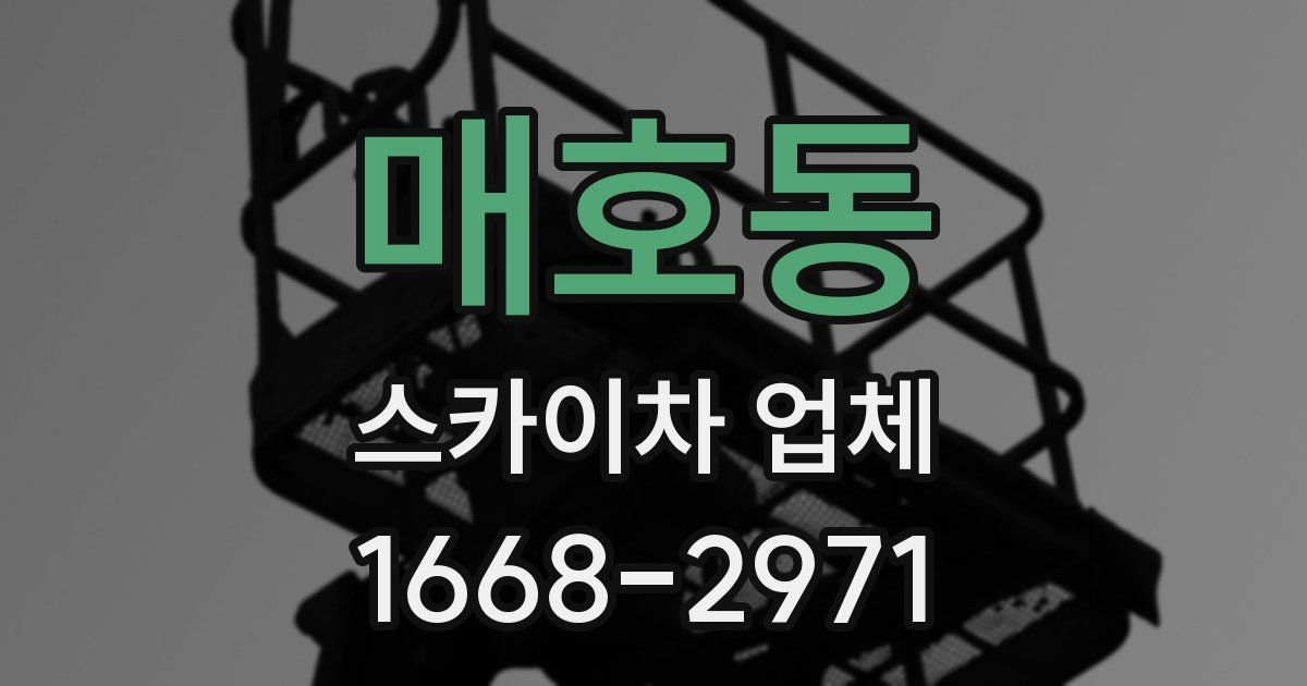 매호동 스카이차 업체
