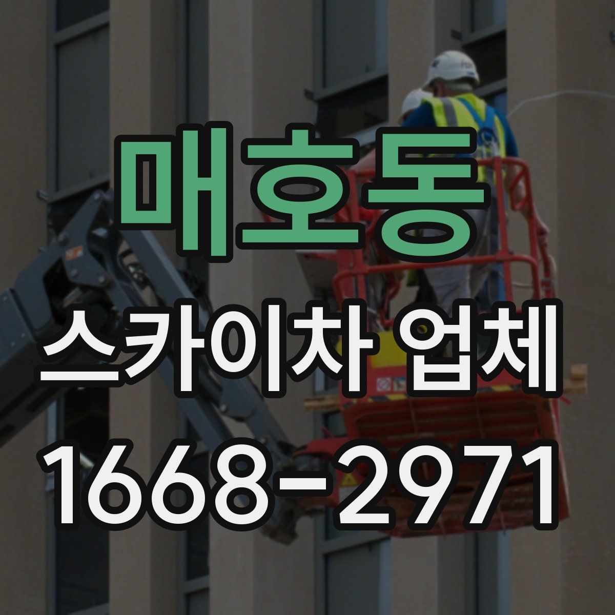 매호동 스카이차 업체