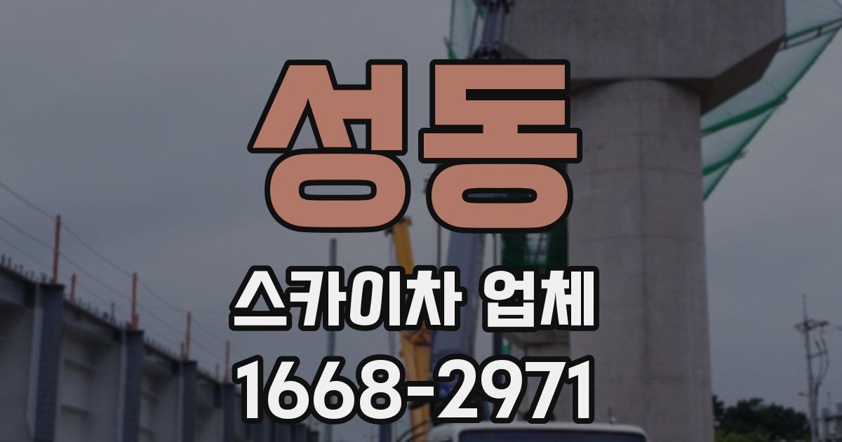 성동 스카이차 업체