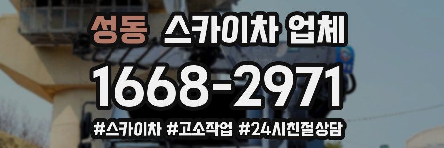 성동 스카이차 업체