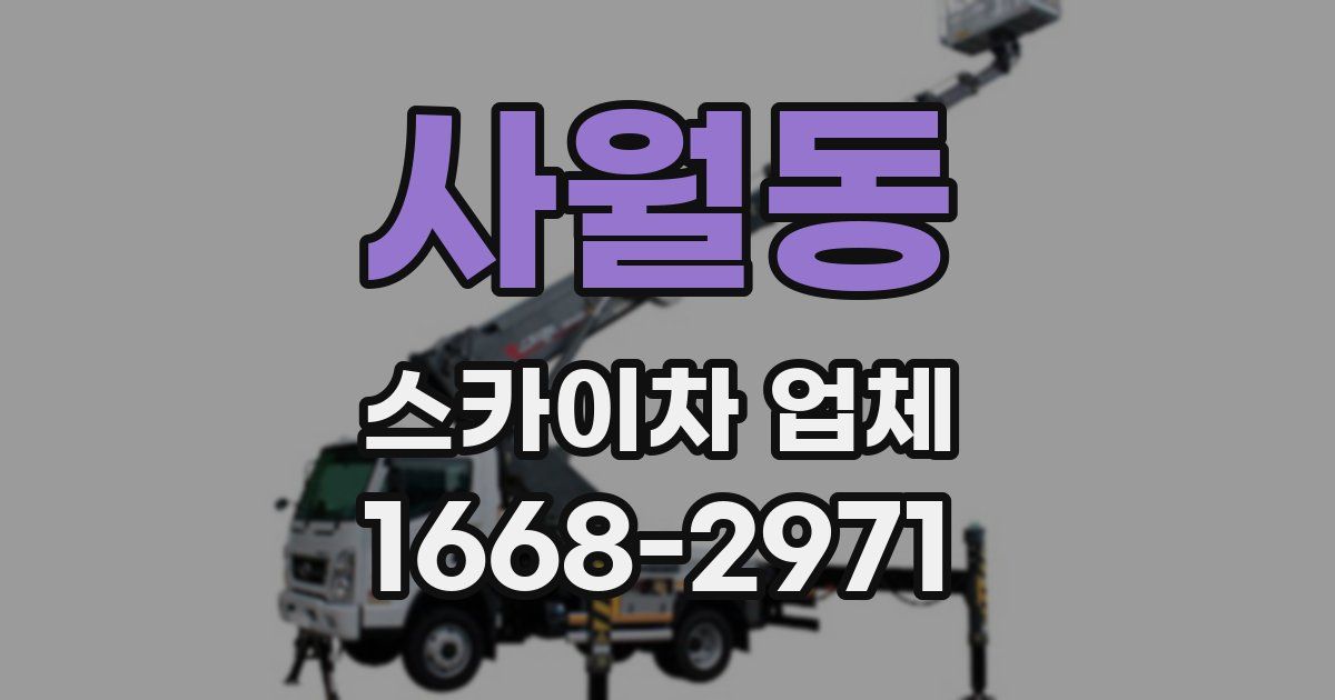 사월동 스카이차 업체