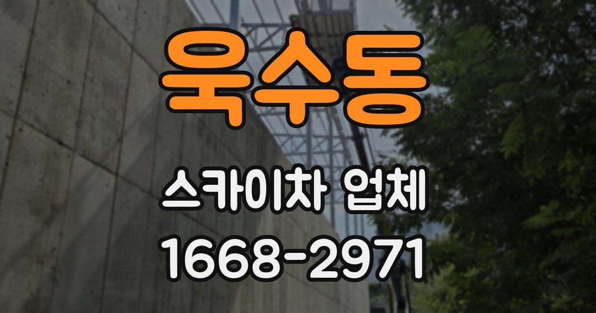 욱수동 스카이차 업체