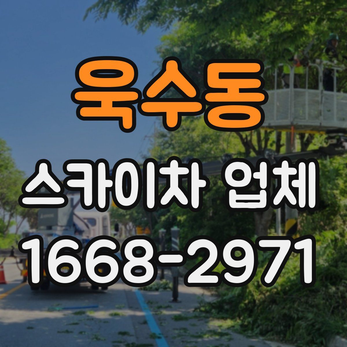 욱수동 스카이차 업체