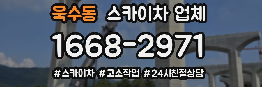 욱수동 스카이차 업체