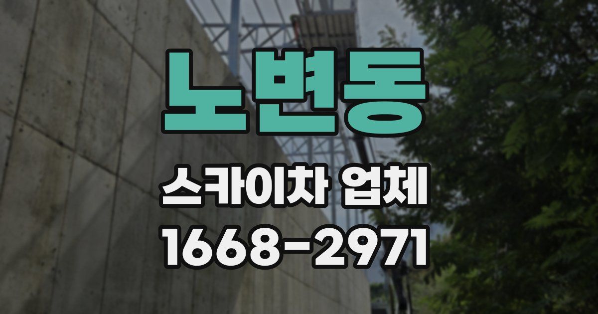 노변동 스카이차 업체