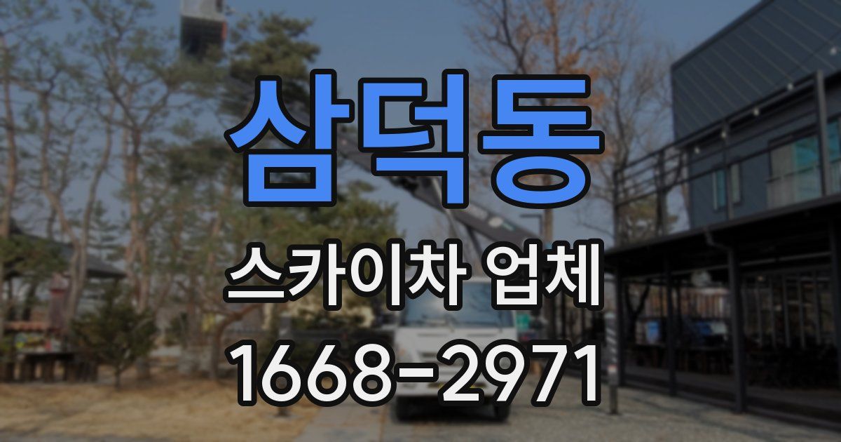 삼덕동 스카이차 업체