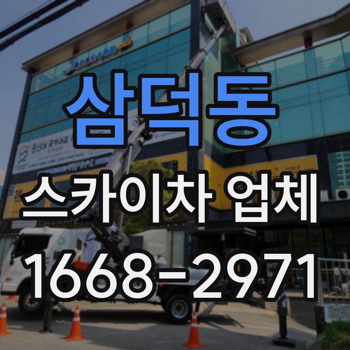 삼덕동 스카이차 업체