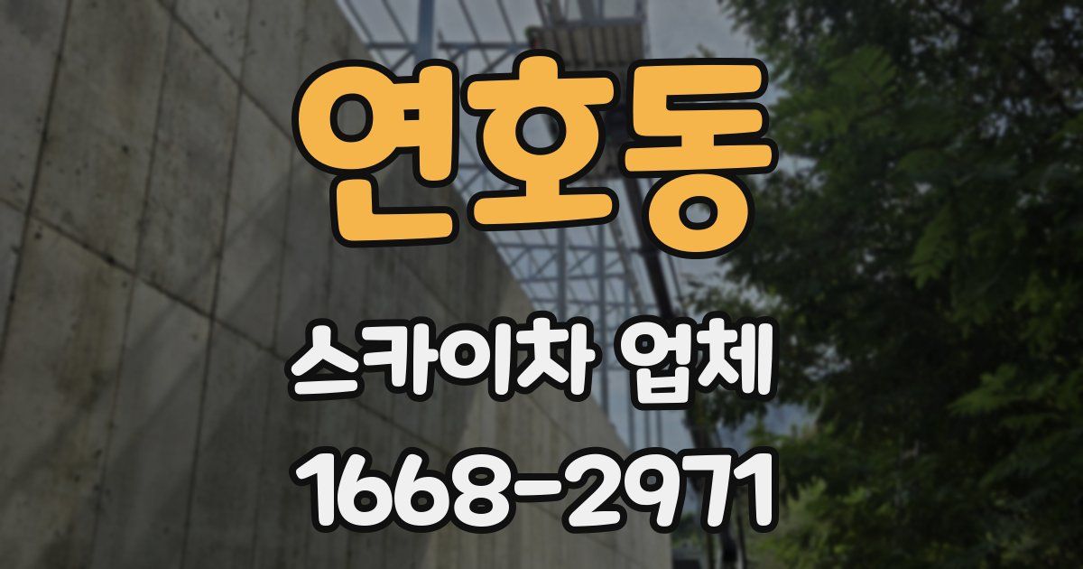 연호동 스카이차 업체