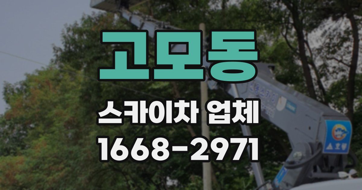 고모동 스카이차 업체