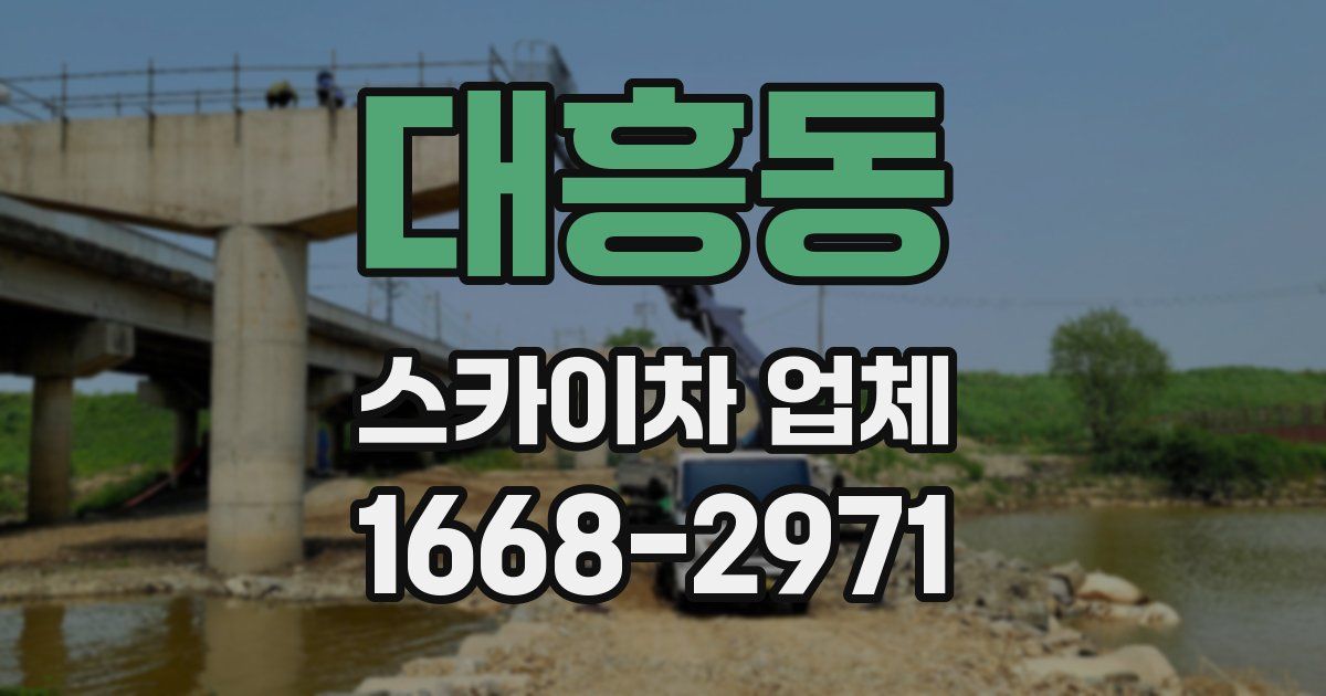 대흥동 스카이차 업체