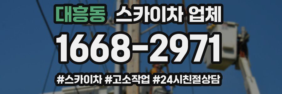 대흥동 스카이차 업체